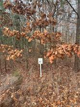 0 Barrique Road, New Kent, Virginia